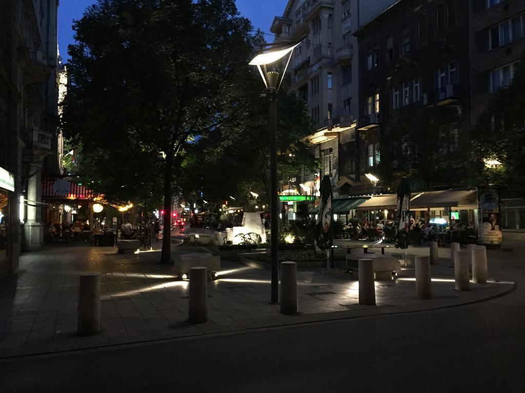 Apartment Near Opera In Downtown Budapest Ngoại thất bức ảnh